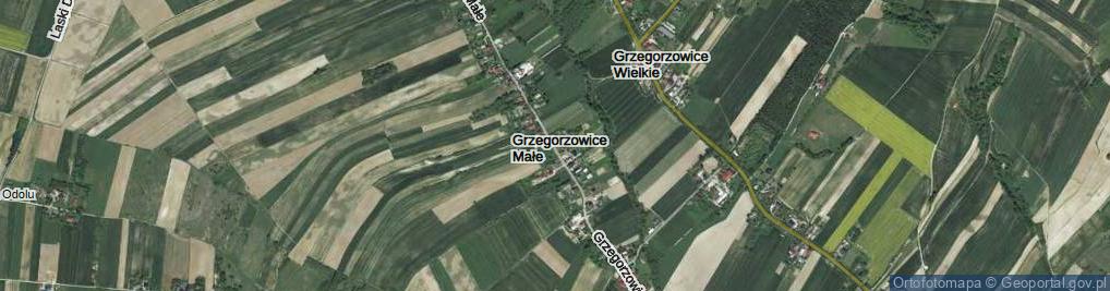 Zdjęcie satelitarne Grzegorzowice Małe ul.